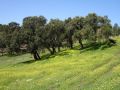 fim de semana