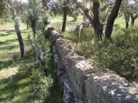 natureza