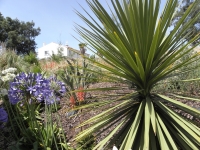 planicie