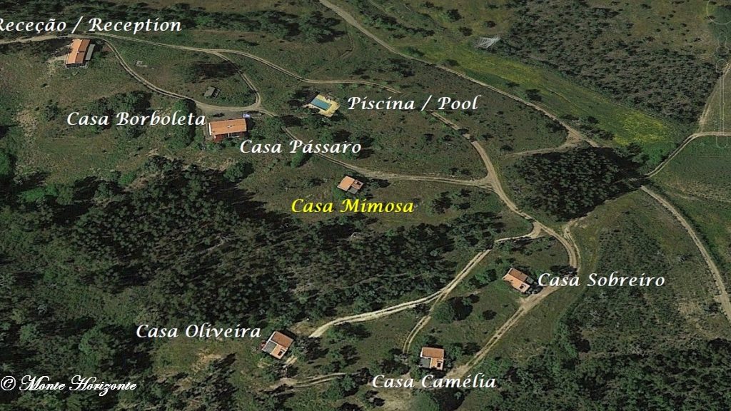 Ferien in Portugal Monte Horizonte Casa Mimosa