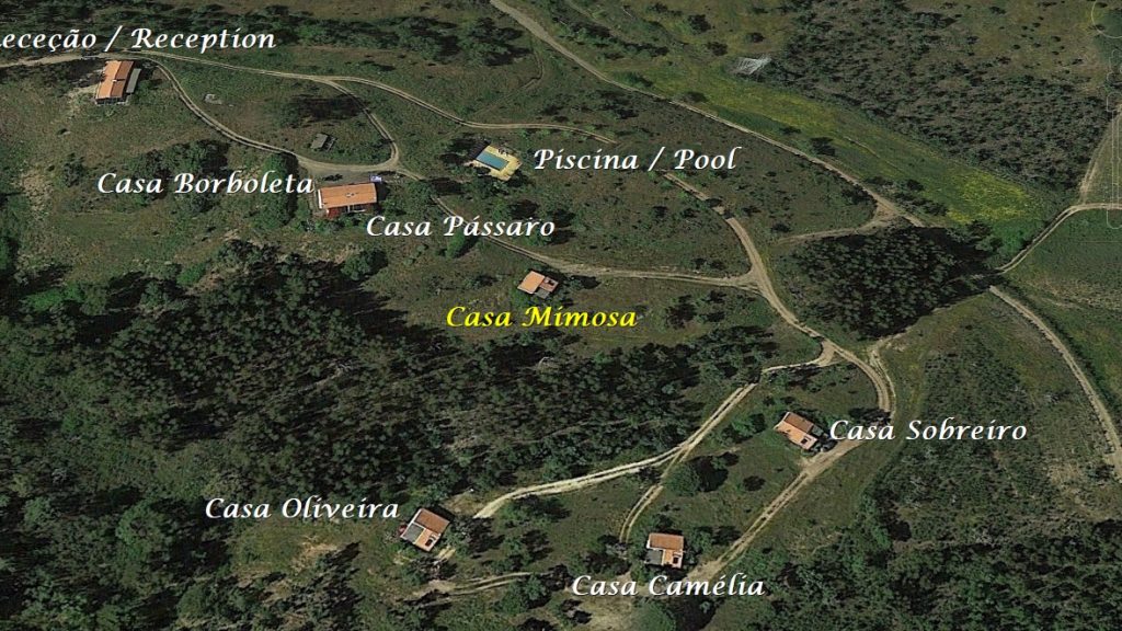 Férias em Monte Horizonte em Portugal Casa Mimosa